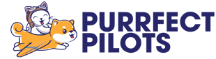 purrfect pilots logo navy